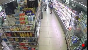 Caméra IP - ES