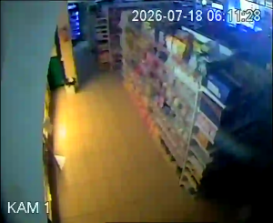 Caméra IP - PL