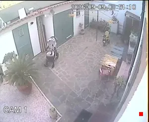 Caméra IP - IT