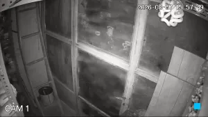 Caméra IP - IR