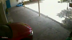 Caméra IP - MX