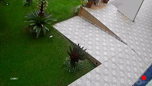 Caméra IP - BR