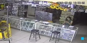 Caméra IP - MX