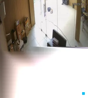 Caméra IP - IN
