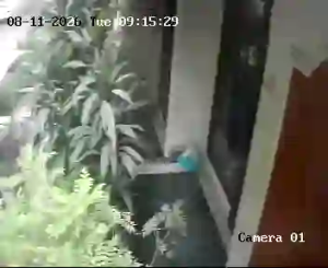 Caméra IP - IN