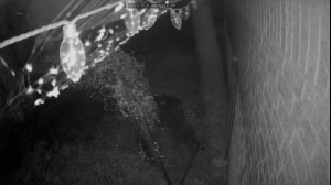 Caméra IP - US