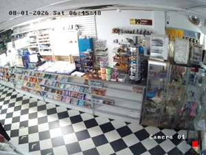 Caméra IP - CA