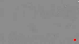 Caméra IP - ES