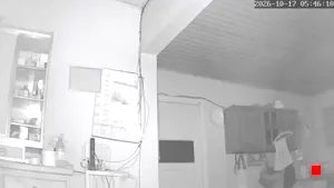 Caméra IP - AR