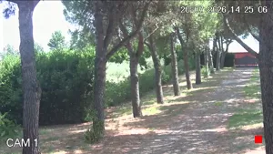 Caméra IP - IT