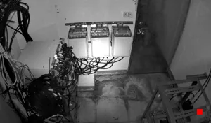 Caméra IP - TW