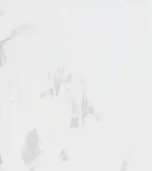 Caméra IP - PL