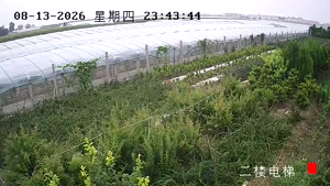 Caméra IP - CN