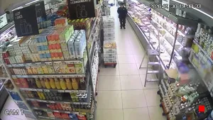 Caméra IP - ES