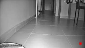 Caméra IP - ES