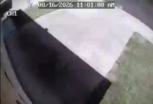 Caméra IP - US