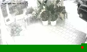 Caméra IP - IT