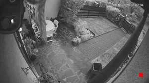 Caméra IP - IT