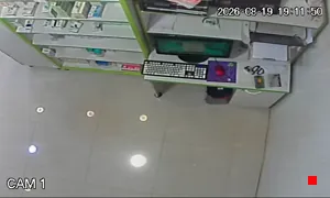 Caméra IP - DZ