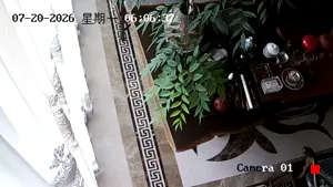 Caméra IP - CN