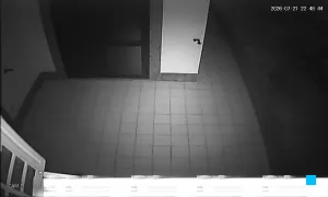 Caméra IP - IT