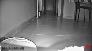 Caméra IP - ES