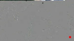 Caméra IP - CN