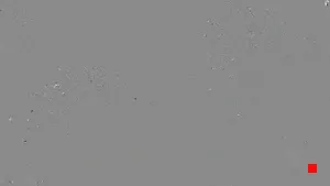 Caméra IP - ES