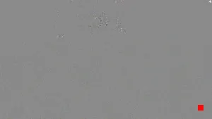 Caméra IP - ES