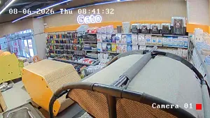 Caméra IP - MX
