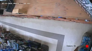 Caméra IP - US