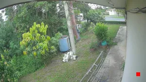 Caméra IP - TH
