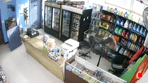 Caméra IP - US