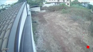 Caméra IP - IT