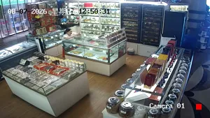 Caméra IP - CN