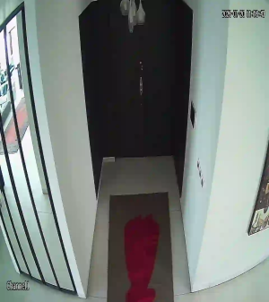 Caméra IP - IR