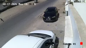 Caméra IP - TN