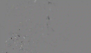 Caméra IP - IR