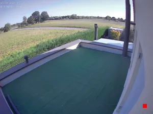 Caméra IP - IT