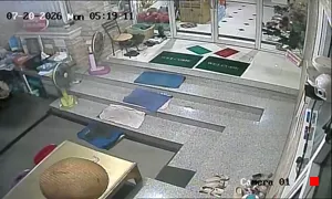 Caméra IP - TH