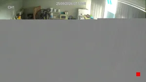 Caméra IP - AU