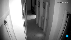 Caméra IP - IT