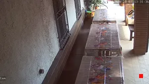 Caméra IP - IT