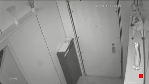 Caméra IP - IT