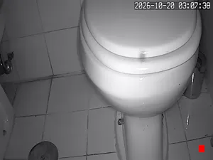 Caméra IP - IT