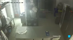 Caméra IP - IT