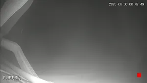 Caméra IP - ES