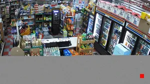Caméra IP - US