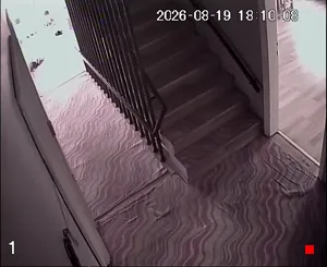 Caméra IP - TR