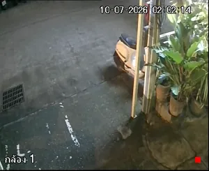 Caméra IP - TH